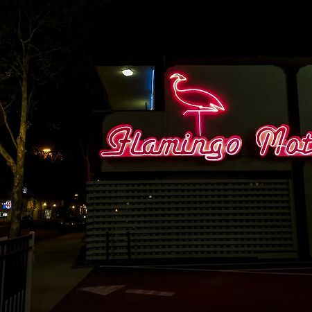 The Flamingo Motel Сан-Хосе Экстерьер фото